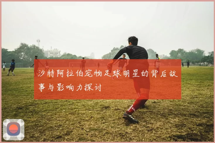 沙特阿拉伯宠物足球明星的背后故事与影响力探讨