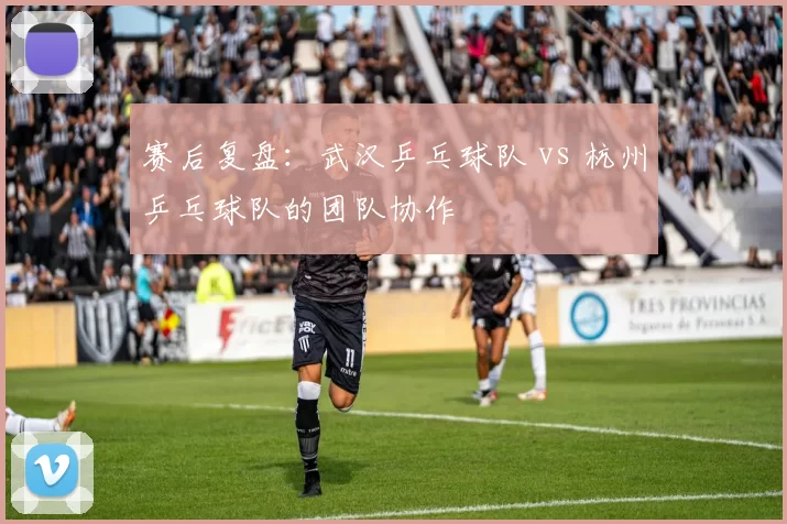赛后复盘：武汉乒乓球队 vs 杭州乒乓球队的团队协作
