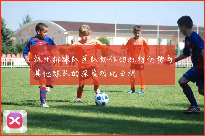 杭州排球队团队协作的独特优势与其他球队的深度对比分析