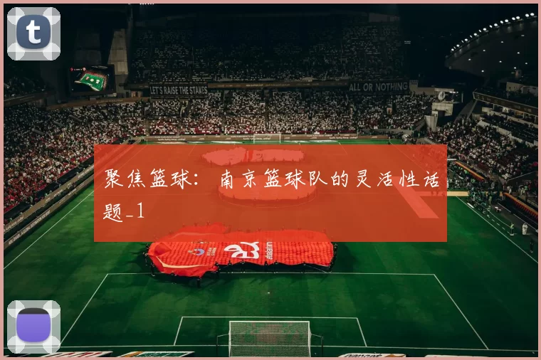 聚焦篮球：南京篮球队的灵活性话题_1
