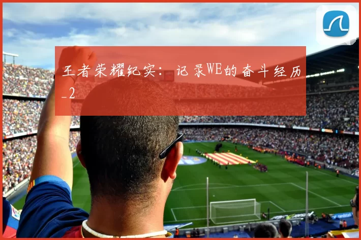 王者荣耀纪实：记录WE的奋斗经历_2