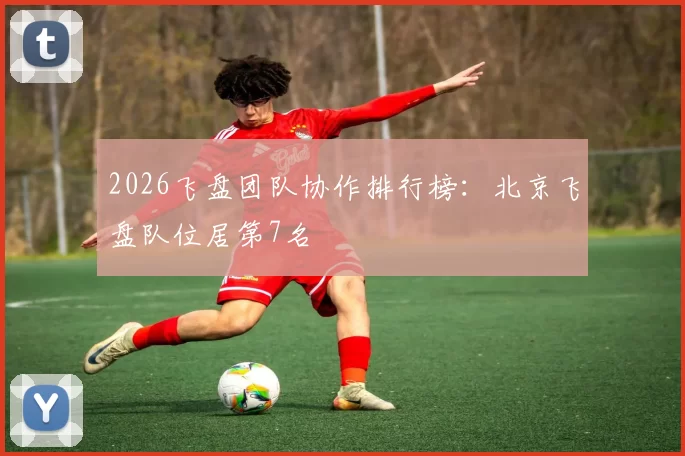 2026飞盘团队协作排行榜：北京飞盘队位居第7名