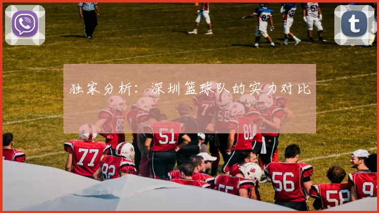 独家分析：深圳篮球队的实力对比