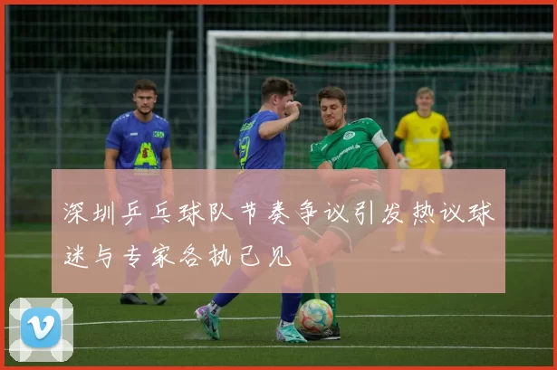 深圳乒乓球队节奏争议引发热议球迷与专家各执己见