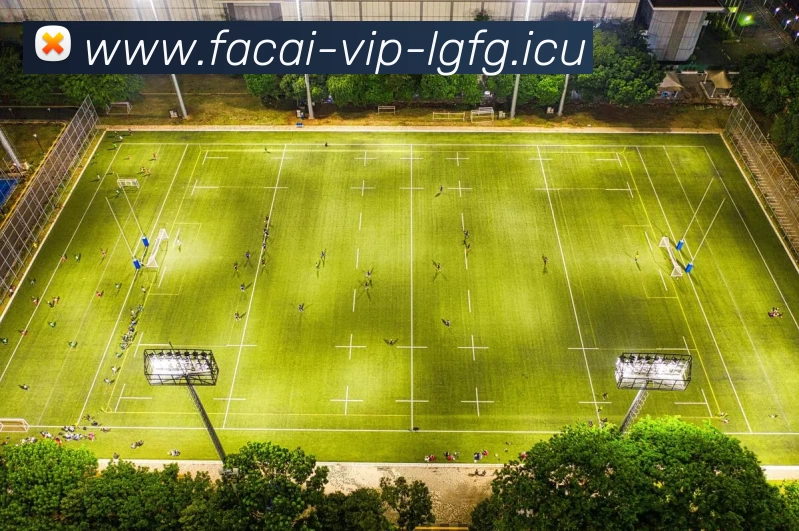 爱游戏体育发展历程